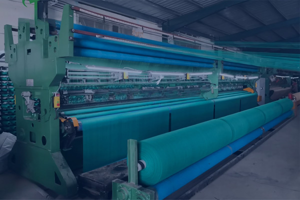 توری راشل سبز